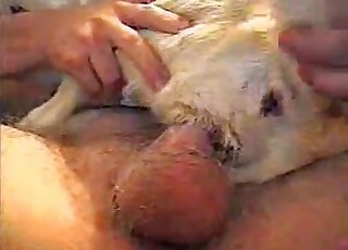 Kinky dude fucks a red doggie and cums inside of it