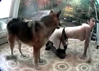 Skinny whore seduces a dog to lick and fuck her wet pussy