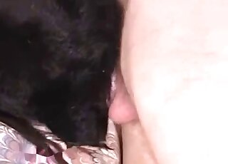 Dude uses that dick to fuck a dog's pussy in a kinky fashion here