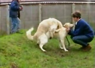 Attractive MILFs in sexy jeans want to watch their pets fuck hard