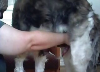 Big booty zoophile fucking in a twisted BBW porn video with handjobs