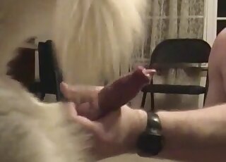 Dude with a shapely ass is going to screw a dog on all fours too