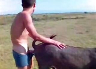 Dude pulls down his undies to fuck a sexy black dog outdoors here