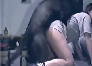 Un tizio magro con dei calzini sexy si mette a quattro zampe per farsi scopare da un cane