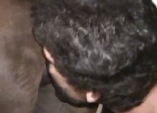 Dude with a hard penis is ready to fuck this brown creature violently