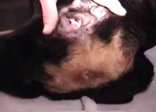 Sexy guy fingering this dog's hot vagina on the floor during foreplay