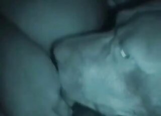 Zoomed-in animal fucking with a chubby guy that really loves sex