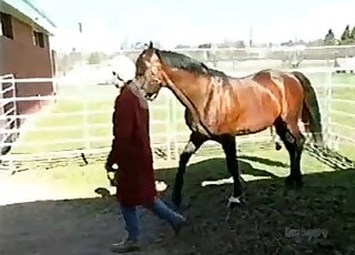 Brown stallion is fully prepared to enjoy hard fucking outdoors
