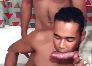 XXX zoo action shows the way nasty dude sucks dog's hard shaft