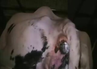 Closeup sex toy action featuring a juicy animal pussy and a toy