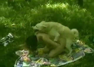 Awesome porn movie showing a sexy animal that fucks a hot lady hard