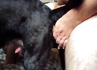 Sexy black dog is getting fucked by a pale zoophile with a nice peen