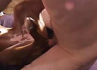 Brown animal gets fucked with passion by a really horny male zoophile