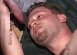 Hot guy licking all over a dog's penis in a hot scene that is great