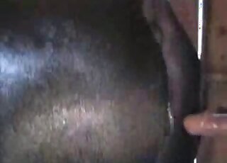 Dude enjoying hot fucking with mare pussies in free online XXX too