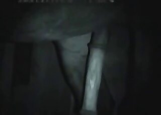 Closeup vag fingering for a mare with a large pussy and brown fur