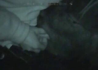 Nighttime zoophile love with a guy that feeds his cock to a horse