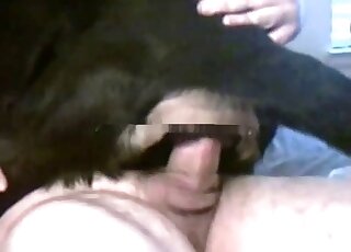 Cowgirl fucking session showing a horny animal that wants orgasms