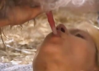 Two skinny girlfriends decide to fuck the same pony in the barn