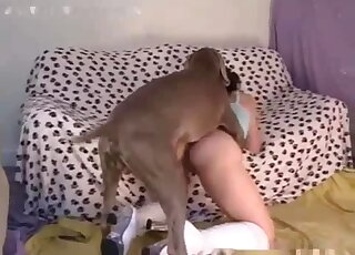 Skinny babe in white boots gets banged by a brown dog on all fours