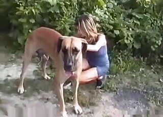 Brown dog easily seduces a tight-bodied babe in a skintight dress