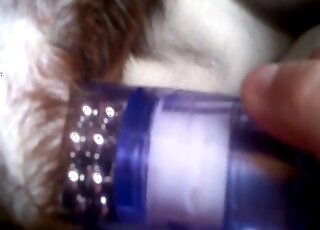 Shameless zoophile using a sex toy to loosen up that tight hole