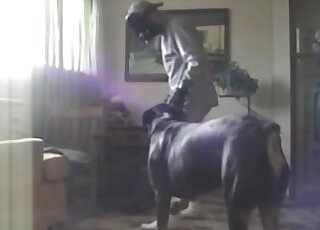 Retro amateur porn video with a zoophile that fucks dog on all fours