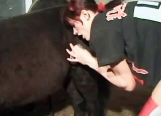 Redhead zoophile slut performs a high-class oral action with a horse