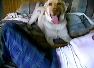 Brown animal that fucks zoophiles decides to enjoy some foreplay