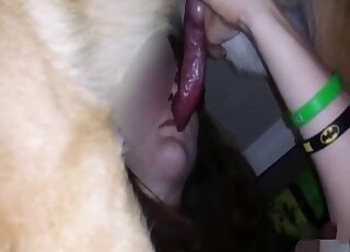 Red dick animal receives a sloppy blowjob from a brunette coed