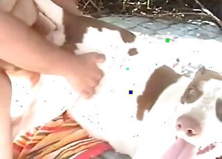 Tubby guy using his penis to fuck this animal's pussy with passion