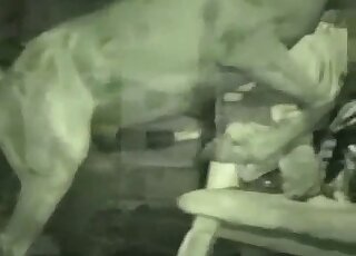 Huge animal cock fucks this horse lover's tight asshole deeply