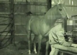 Huge animal cock fucks this horse lover's tight asshole deeply
