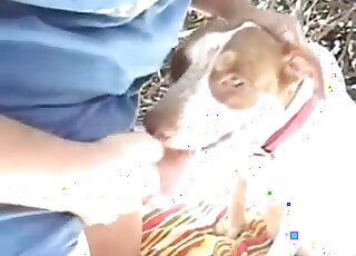 Amateur man tries to seduce his dog into having sex