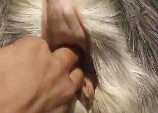 Chubby redhead holds goat while husband gives pussy fingering