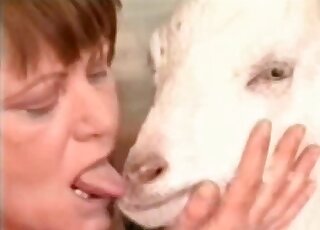 Calm goat gets nailed up the butt by aroused zoophiliac