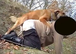 Old man drops pants down for outdoor sex with horny dog