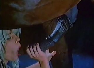 Horny blonde licks and suck giant horse dick in vintage porn