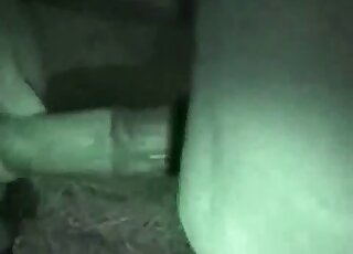 Randy woman wants to feel massive horse dick up her wet twat