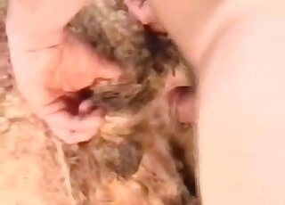 Sheep gets fucked by an older man while being restrained by two