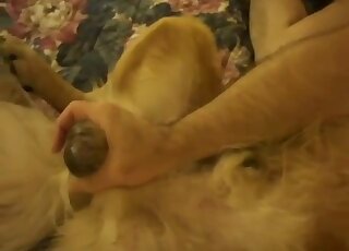 Animal porn - CBT treatment for the dog from his perverted master