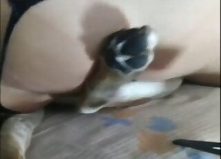 Big ass MILF does cowgirl ride on dog cock in amateur zoo porn flick