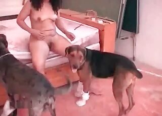 Horny slut welcomes dog's hard shaft in her wet and shaved cunt