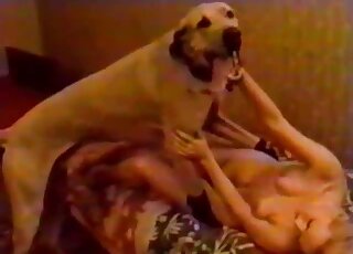 Vintage bestiality porn - MILF enjoys getting fucked by a dog