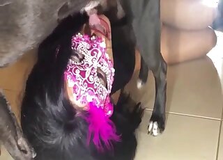 Amateur housewife moans while getting topped by aroused black dog