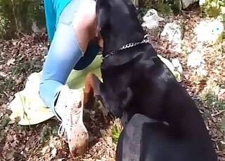 Randy Rottweiler is erect and impatient to stuff girl's pussy