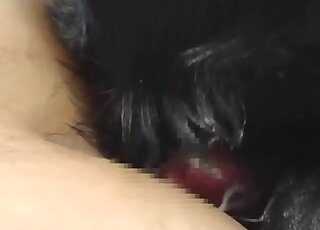 Slimy dog cock fills up a Japanese girl's ass in anal zoo porn