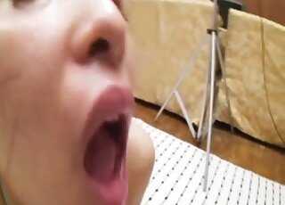 Asian sweetheart gets face licked by adorable Labrador