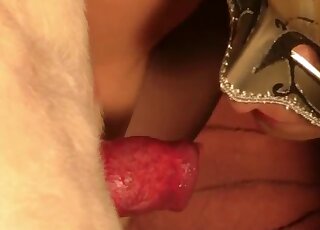 Blonde MILF in stockings goes down on erect Labrador dick