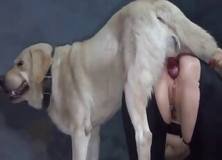 Big ass MILF loves getting anal creampie from Labrador